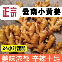 广西生姜小黄姜（供应市场，出口，电商，药厂）坏烂包赔