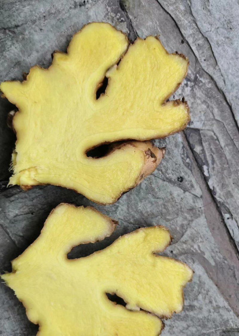 广西生姜小黄姜（供应市场，出口，电商，药厂）坏烂包赔