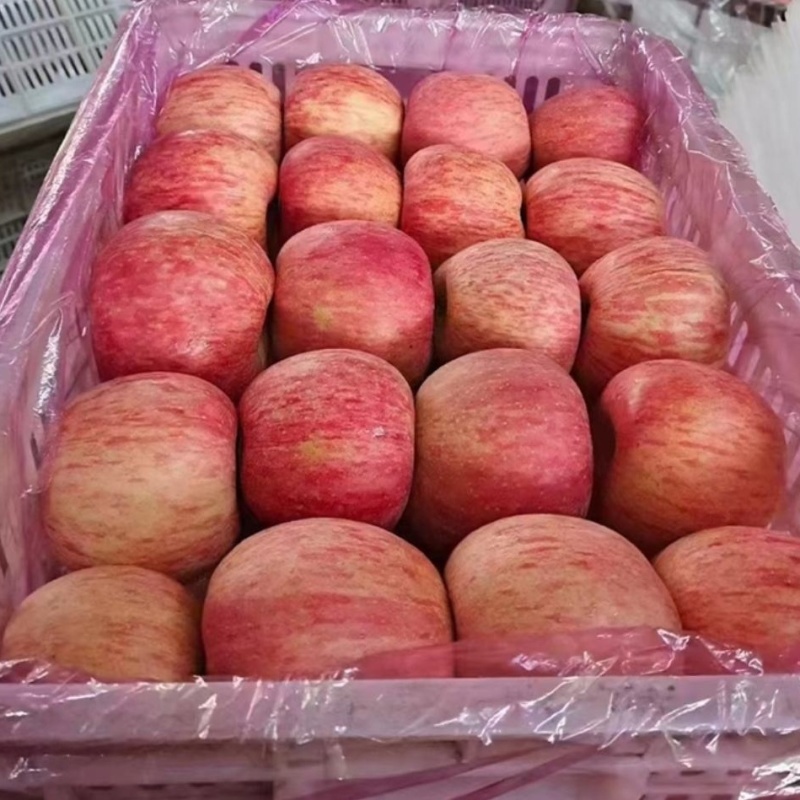 急售:《电商货，市场货》电商一件代发，冷库苹果大掉价