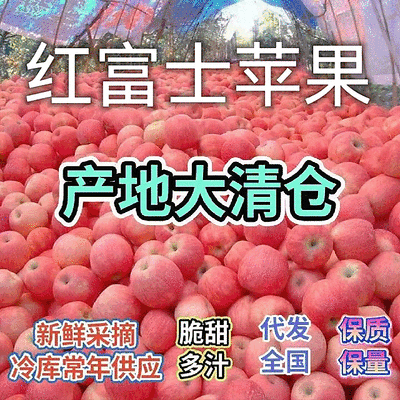 急售:《电商货，市场货》电商一件代发，冷库苹果大掉价