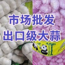 新干蒜（现货直发各地市场）坏烂包赔，规格齐全，价格便宜