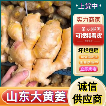 主营(水洗姜,风干姜)出口/市场批发/姜厂直供