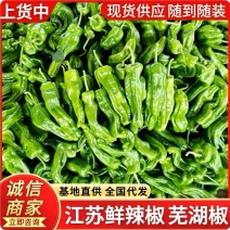 【推荐】芜湖椒/江苏鲜辣椒《基地直供量大从优》全国发货