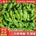 【推荐】芜湖椒/江苏鲜辣椒《基地直供量大从优》全国发货
