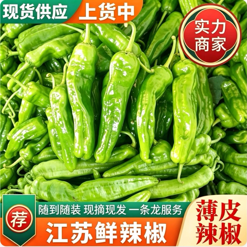 『薄皮鲜辣椒』江苏鲜辣椒/产地现货/量大从优/可全国发货