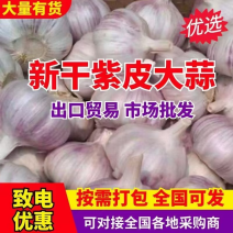 主营（4—6公分大蒜）紫皮大蒜，出口，市场批发/全国发货
