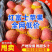 【红富士苹果】山东苹果/片红全红条纹纸加膜/常年供