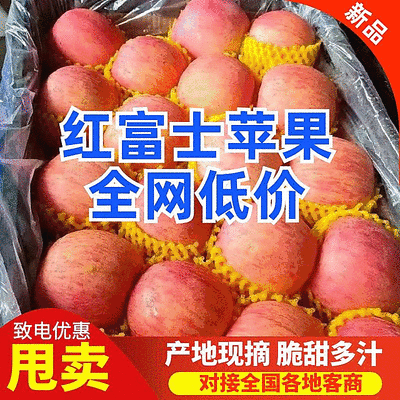 【红富士苹果】山东苹果/片红全红条纹纸加膜/常年供