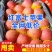 【红富士苹果】山东苹果/片红全红条纹纸加膜/常年供