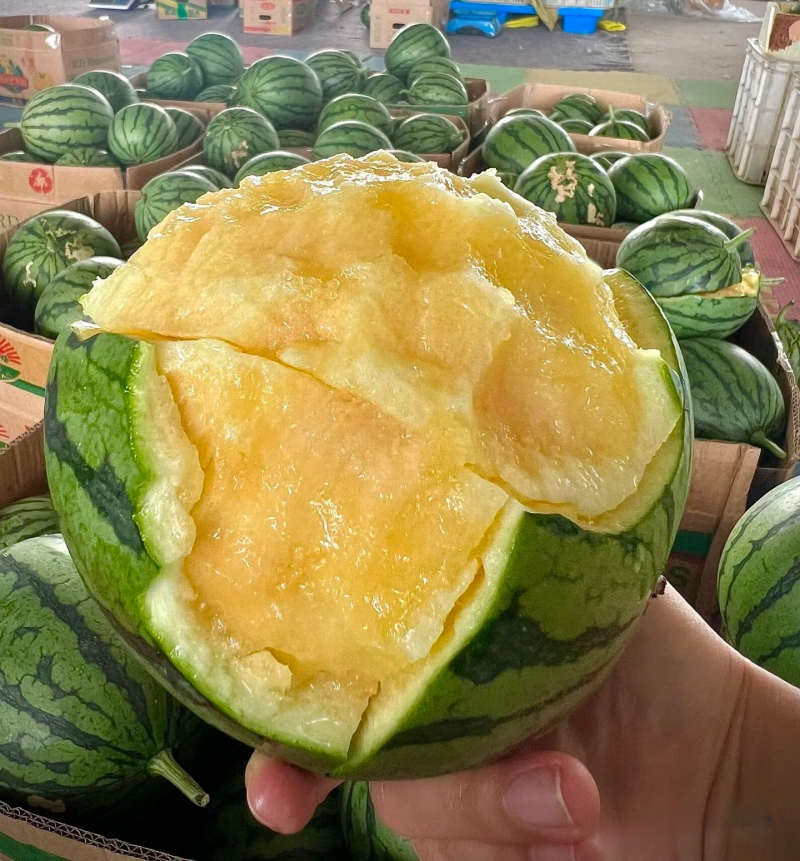 【热卖】精品特小凤西瓜货源充足产地直发保质保量欢迎采购