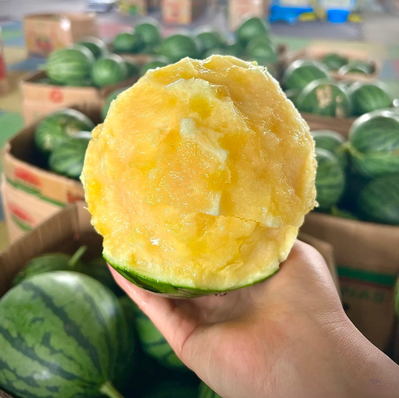 【热卖】精品特小凤西瓜货源充足产地直发保质保量欢迎采购