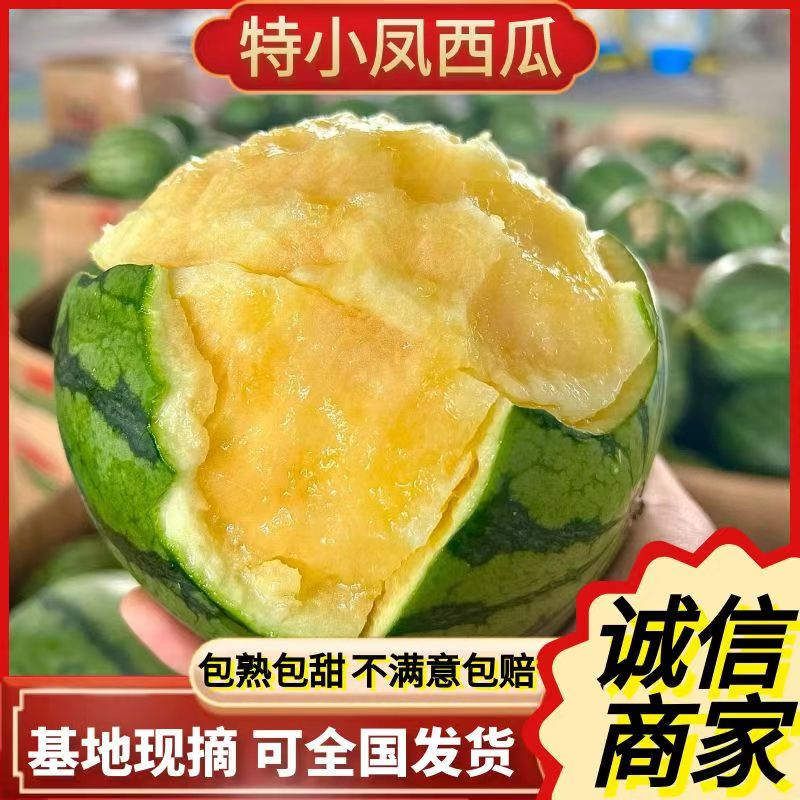 江苏精品特小凤西瓜货源充足产地直发保质保量欢迎采购