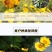 金鸡菊种子公园花海工程造景耐热耐旱四季种植易养活多年矮生