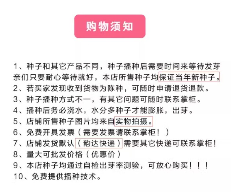 蛇目菊菊花种子花坛庭院阳台盆栽花卉种子春秋四季阳台盆栽易
