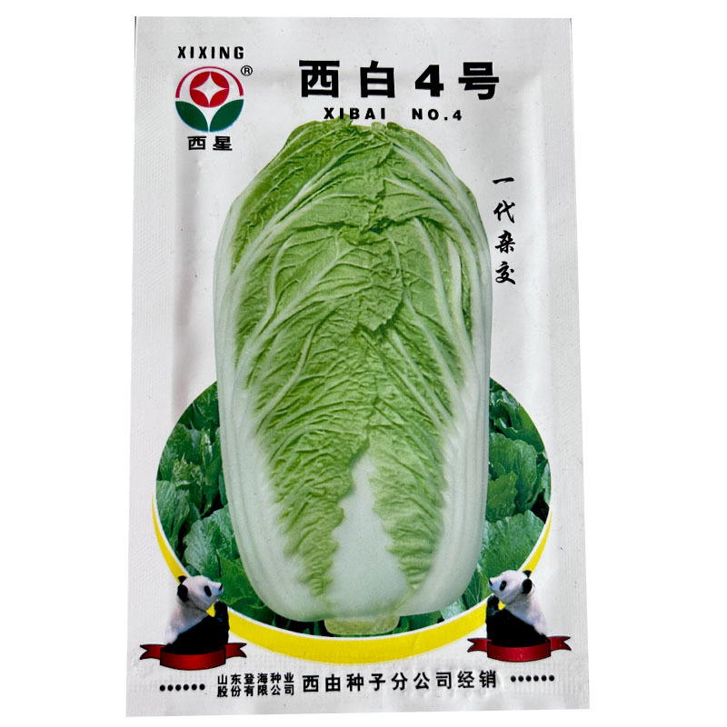 西星西白4号大白菜种子抗病叶色深绿登海基地蔬菜种子