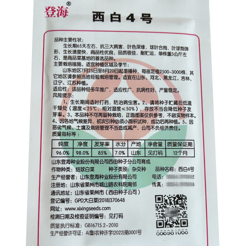 西星西白4号大白菜种子抗病叶色深绿登海基地蔬菜种子