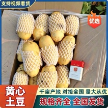 《希㚞六号，沃土，V7，荷兰十五》产地直发，全国发货