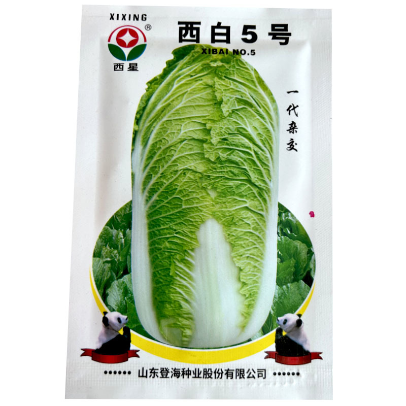 西白5号白菜种子12g有光泽绿白帮生长速度快大田基地型