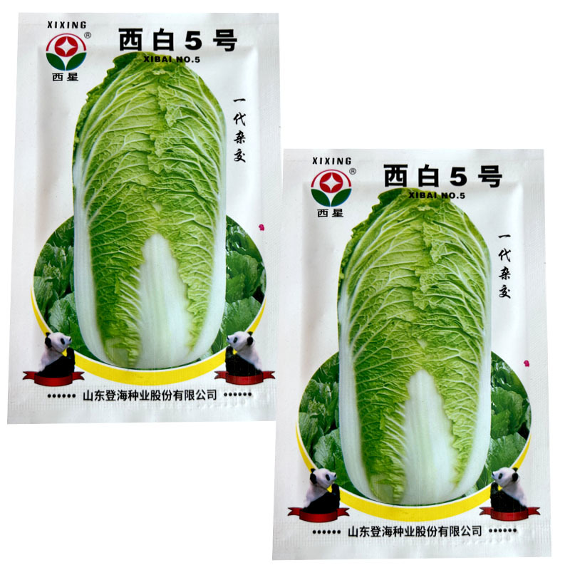 西白5号白菜种子12g有光泽绿白帮生长速度快大田基地型