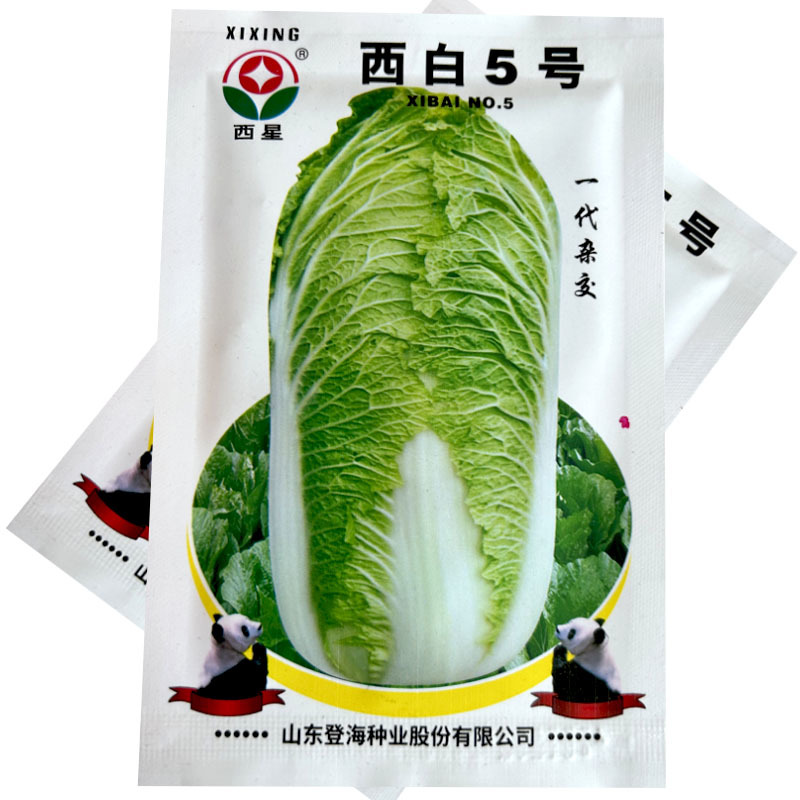 西白5号白菜种子12g有光泽绿白帮生长速度快大田基地型