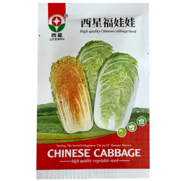 西星福娃娃菜种子桔红芯娃娃小型白菜直简型基地型