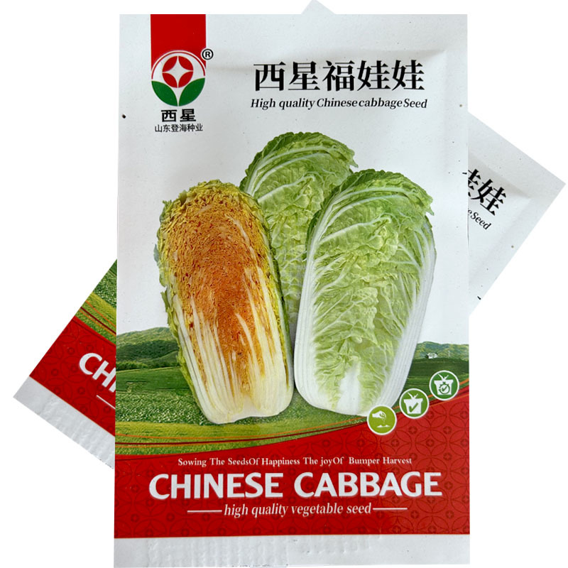 西星福娃娃菜种子桔红芯娃娃小型白菜直简型基地型