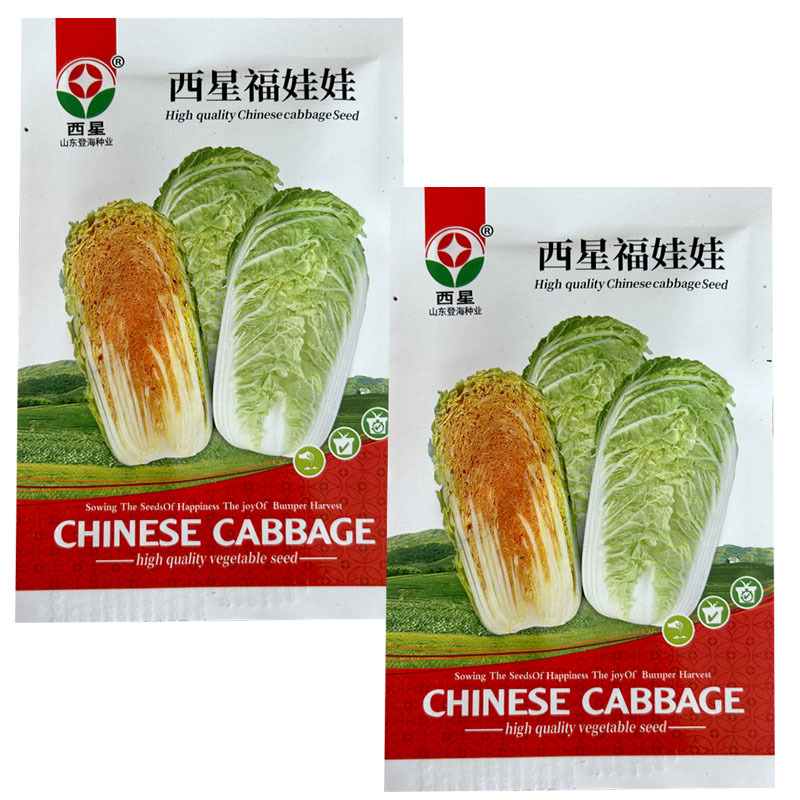 西星福娃娃菜种子桔红芯娃娃小型白菜直简型基地型