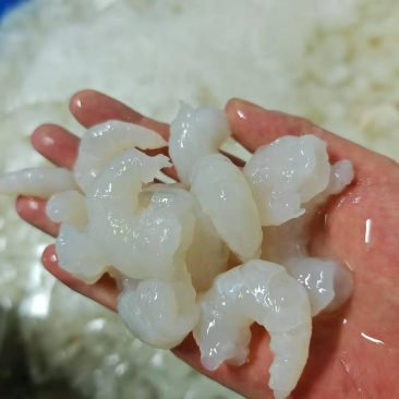 罗氏虾虾仁