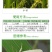 江山敌百虫菜青虫青菜菜青虫螟虫烟青虫杀虫剂