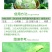 中迅虎盾30%虫螨腈氯虫苯甲酰胺小菜蛾杀虫剂
