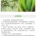 先正达顶峰50%吡蚜酮稻飞虱杀虫剂