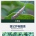 沪联轼除11.8%虫螨腈甲氨基阿维菌素苯甲酸盐杀虫剂