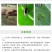 先正达度锐300克升氯虫苯甲酰胺噻虫嗪蔗螟黄条跳甲杀虫剂