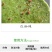 保定农药锄火龙55%单甲脒盐酸盐杀虫剂