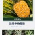 兰月75%赤霉酸