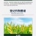 盐城利民黄龙稳健10%调环酸钙