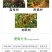 云大全树果0.4%芸苔素内酯赤霉酸A4A7龙眼树生长调节
