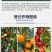 新瑞丰果启3.6%苄氨基嘌呤·赤霉酸A4+A7