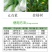 汤普森巨力健10%赤霉酸胺鲜酯调节生长生长调节剂