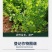 同瑞生物三六20%赤霉酸调节生长增产生长调节剂