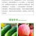 钱江利果灵3.6%苄氨基嘌呤赤霉酸A4A7调节生长生长调