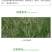 陶氏益农稻杰五氟磺草胺璜草胺水稻田一年生杂草农药除草剂科