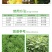 利尔阔封氯氟吡氧乙酸异辛酯玉米水花生小麦田阔叶杂草农药除