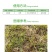 利尔金闲耘10%精草铵膦钠盐非耕地杂草除草剂
