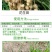 利尔速庆50%丙炔氟草胺一年生杂草除草剂