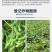 绿霸高盖108克/升高效氟吡甲禾灵