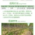 好收成收成火74.7%草甘膦铵盐非耕地杂草除草剂