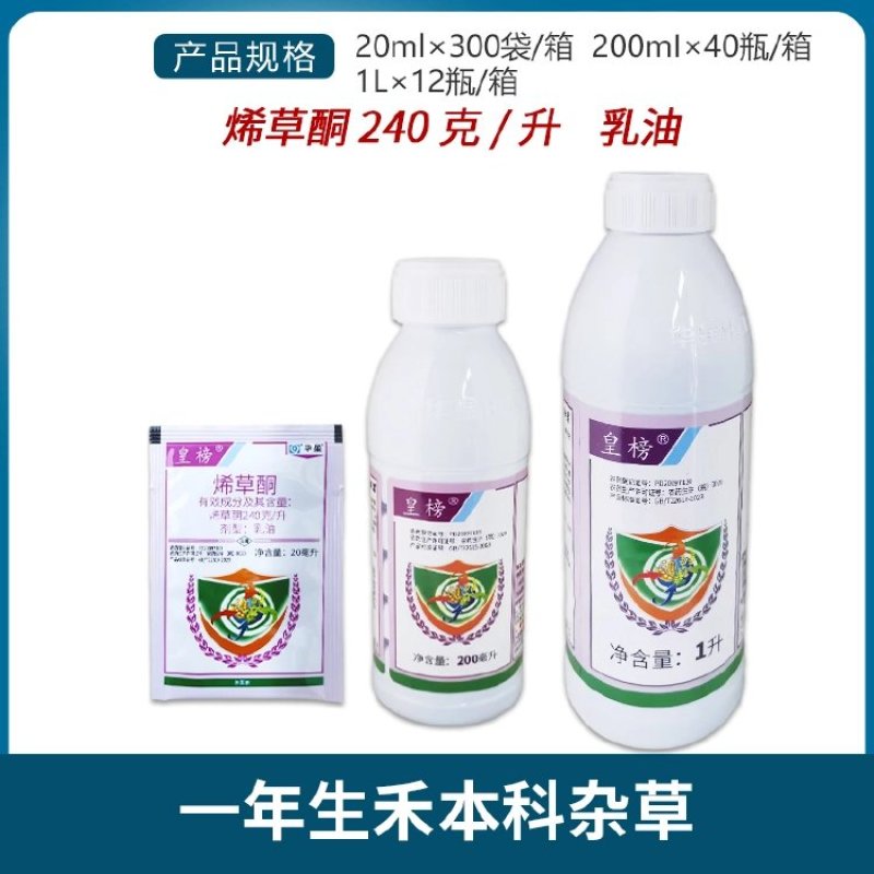 华星皇榜24%烯草酮铜冬油菜田大豆田一年生禾本科杂草农
