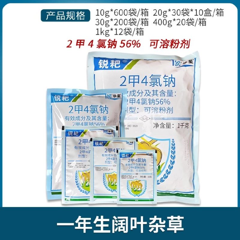 华星草匠锐耙56%二甲四氯钠冬小麦田一年生阔叶杂草除草剂