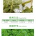 胜邦绿野高效盖108克/升高效氟吡甲禾灵除草剂